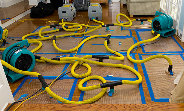 Professional Crawl Space Water Removal technician working in Centerview, MO